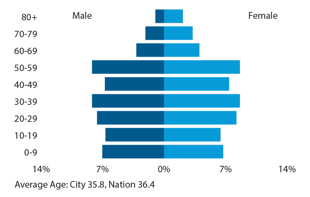 Age pyramid, New York - Data | Urban Age